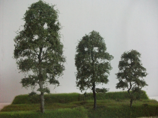 Strom listnatý 15cm