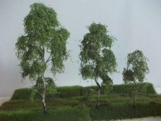 Strom - bříza 20 cm