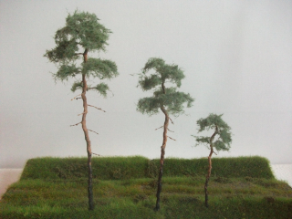 Strom - BOROVICE 15cm
