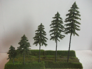 Strom - SMRK lesní 10 cm