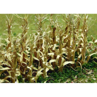95588 kukuřice suchá, výška 2.5 cm, 30 ks