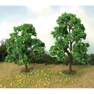 92137 Jabloně žluté 6-7cm 6ks